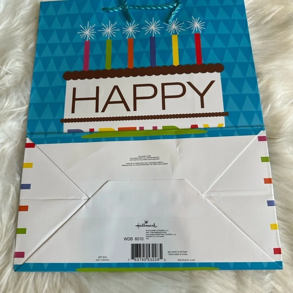 🩵5/$8 Colorful Birthday Gift Bag
